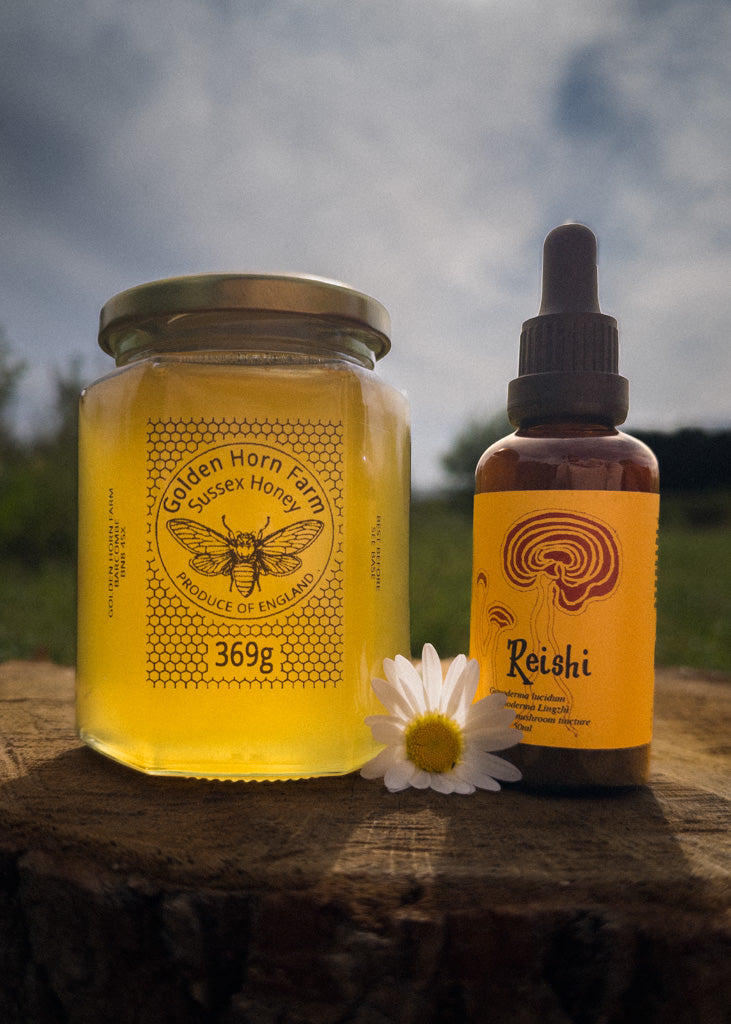 Reishi and Honey Bundle Preorder