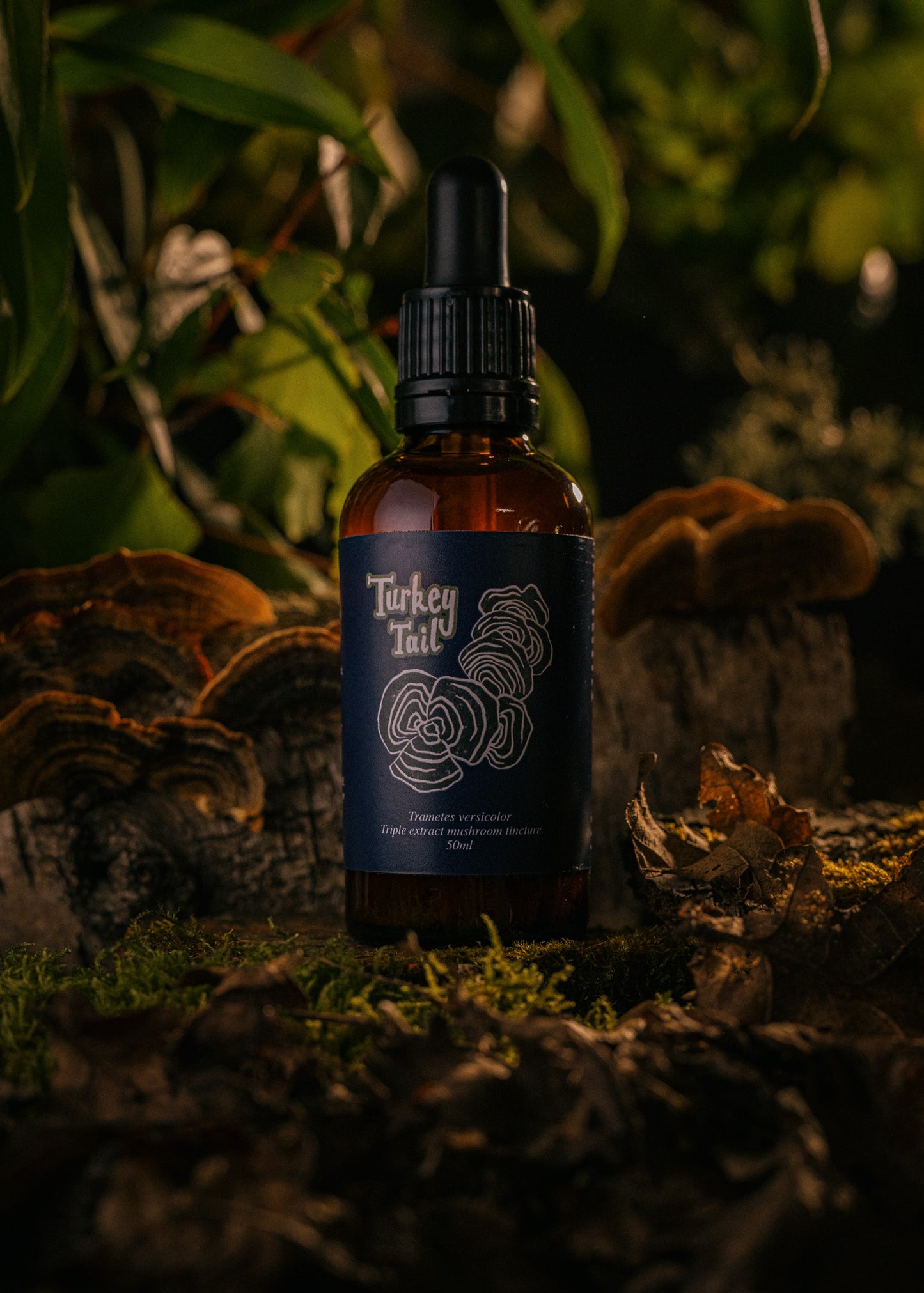 Turkey Tail Tincture