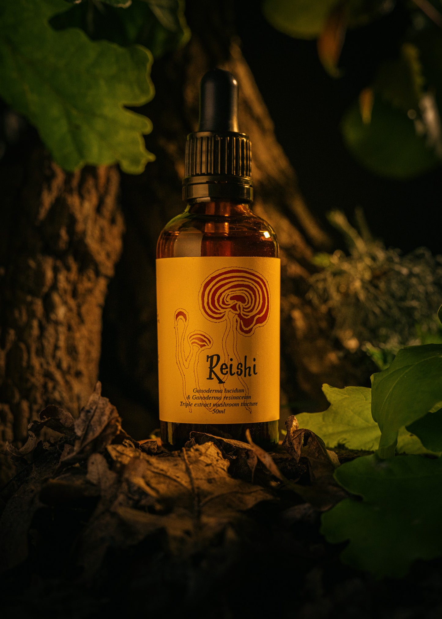 Reishi Tincture