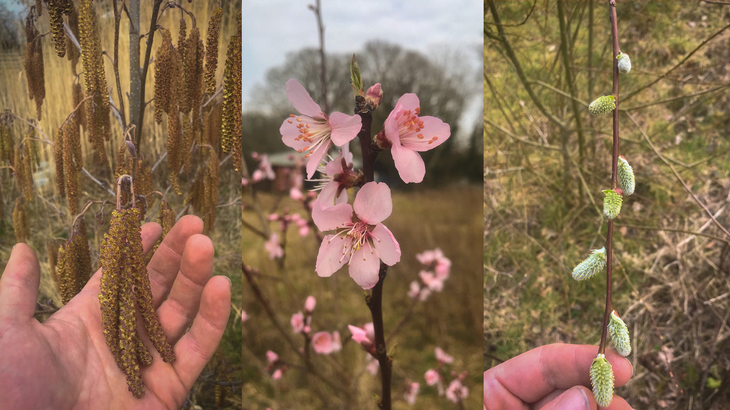 Spring Open Day